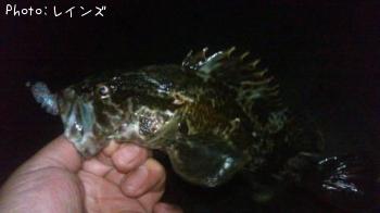 �������������Υ�