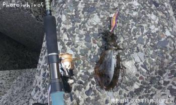 �����ꥤ��