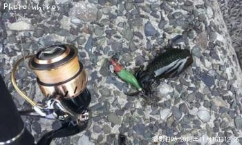 �����ꥤ��