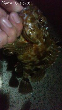 �������������Υ�