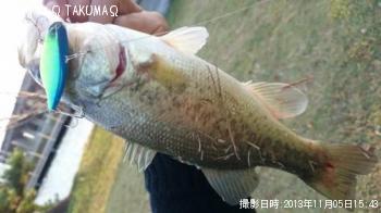 ¥Ö¥é¥Ã¥¯¥Ð¥¹