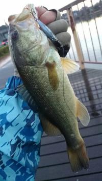 �֥�å��Х�