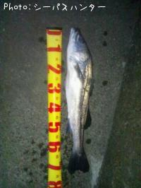 �����Х�