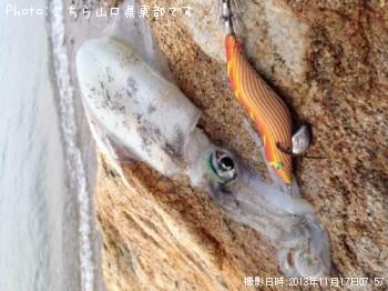 �����ꥤ��