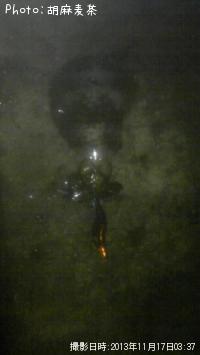 ¥¢¥ª¥ê¥¤¥«