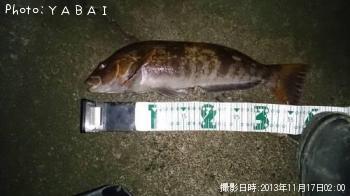 �����ʥ�