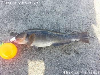 �����ʥ�