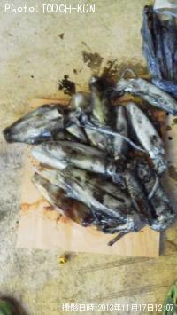 ¥¢¥ª¥ê¥¤¥«