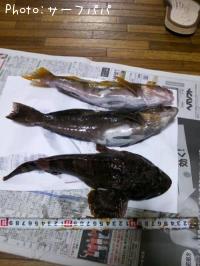 �����ʤᡢ�ܤä�