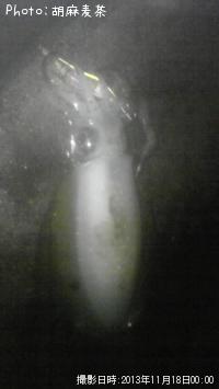 �����ꥤ��