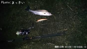 �����Х��ʾС�