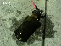 �ߥ�����