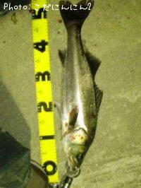 �����Х�