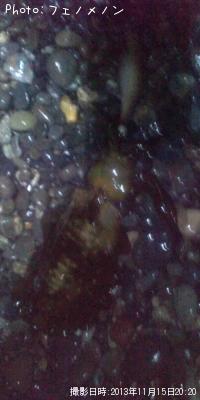 �����ꥤ��