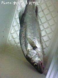 �����Х�