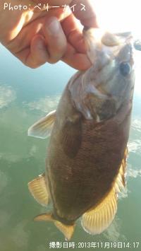 ���⡼��ޥ����Х�