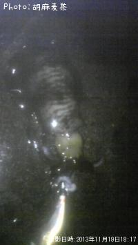 �����ꥤ��