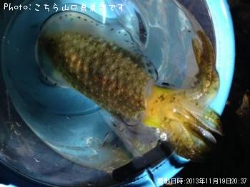 �����ꥤ��