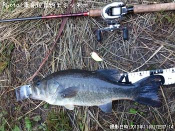 ¥Ö¥é¥Ã¥¯¥Ð¥¹