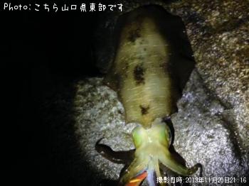 �����ꥤ��