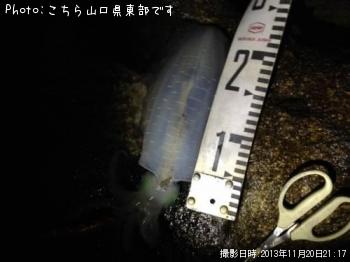 �����ꥤ��