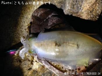 �����ꥤ��