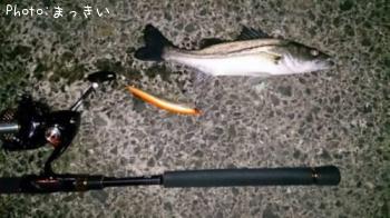 �����Х��ʾС�