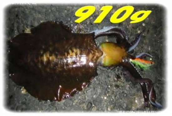 �����ꥤ��