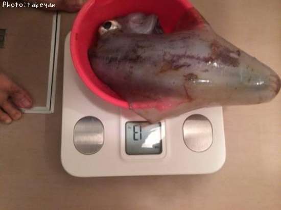 �����ꥤ��