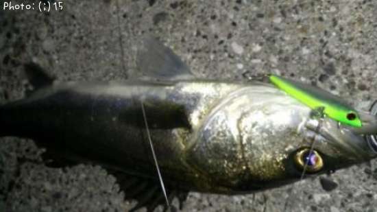 �����Ф�