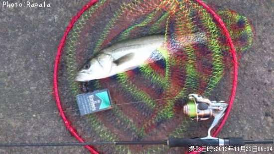 �����Х�