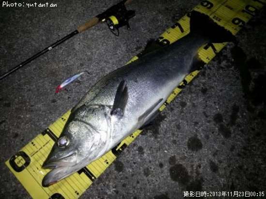 �ҥ饹����