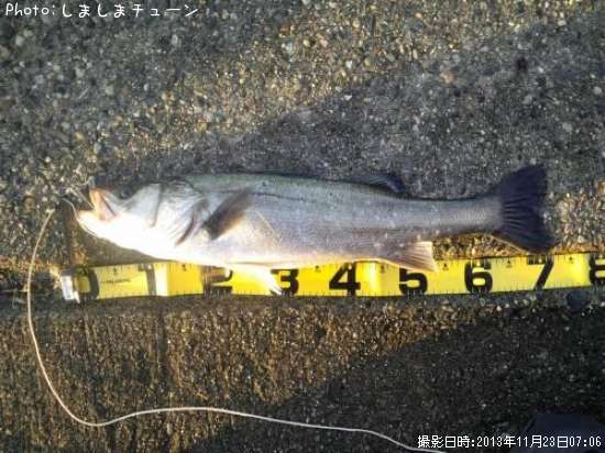 �����Х�