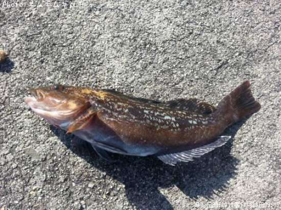 �����ʥ�