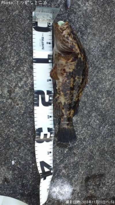 �����Υ���Х�