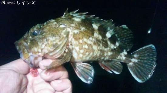 �������������Υ�