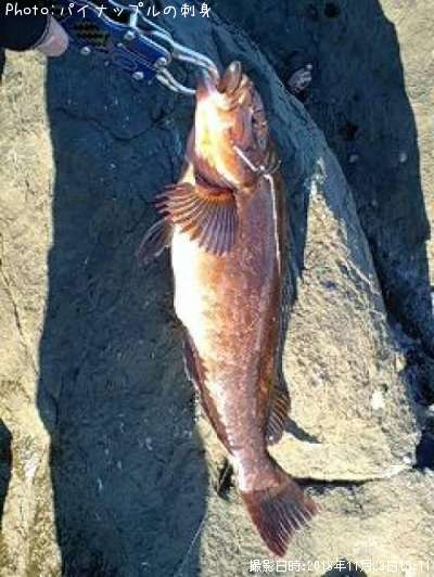 �����ʥ�