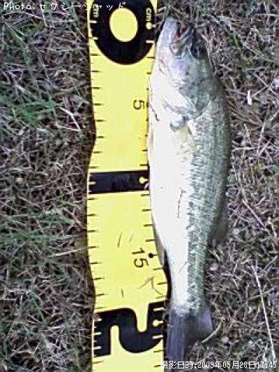 �֥�å��Х�