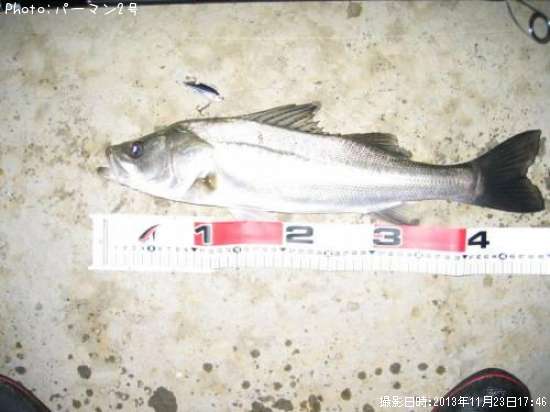 �����Х�