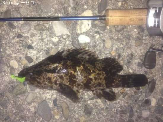 �����Υ���Х�