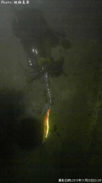 �����ꥤ��