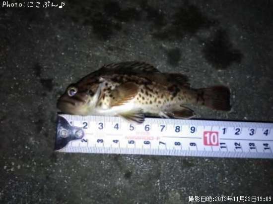 ���ӥ���