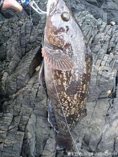 �����ʥ�