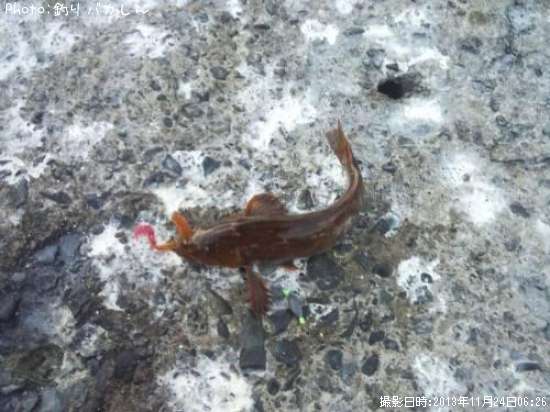 �����ʥ�