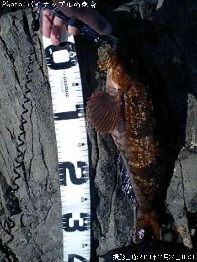 �����ʥ�