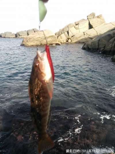 �����ʥ�