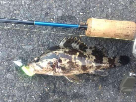 �����Υ���Х�