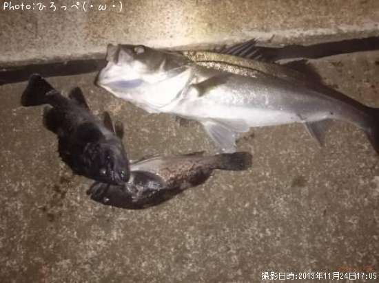 �����Х�