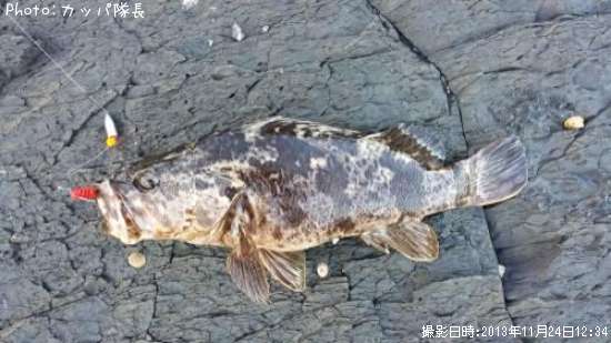 �٥å�������