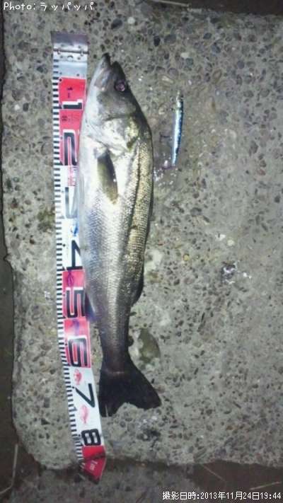 �����Х�